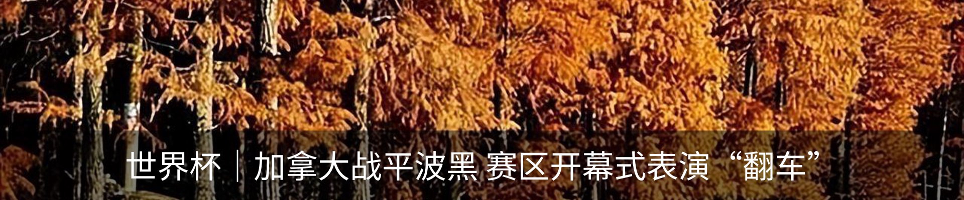 内页banner