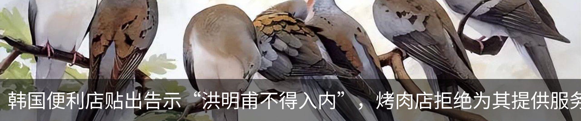 内页banner
